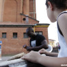 _MG_9377 copy