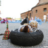 _MG_9424 copy