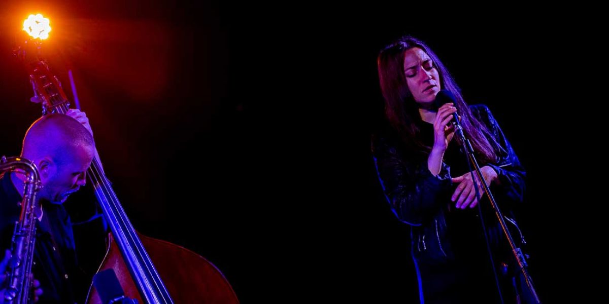 IMG_4520_1200x550 IMG_4520_1200x550